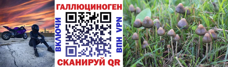 Псилоцибиновые грибы мухоморы Лыткарино